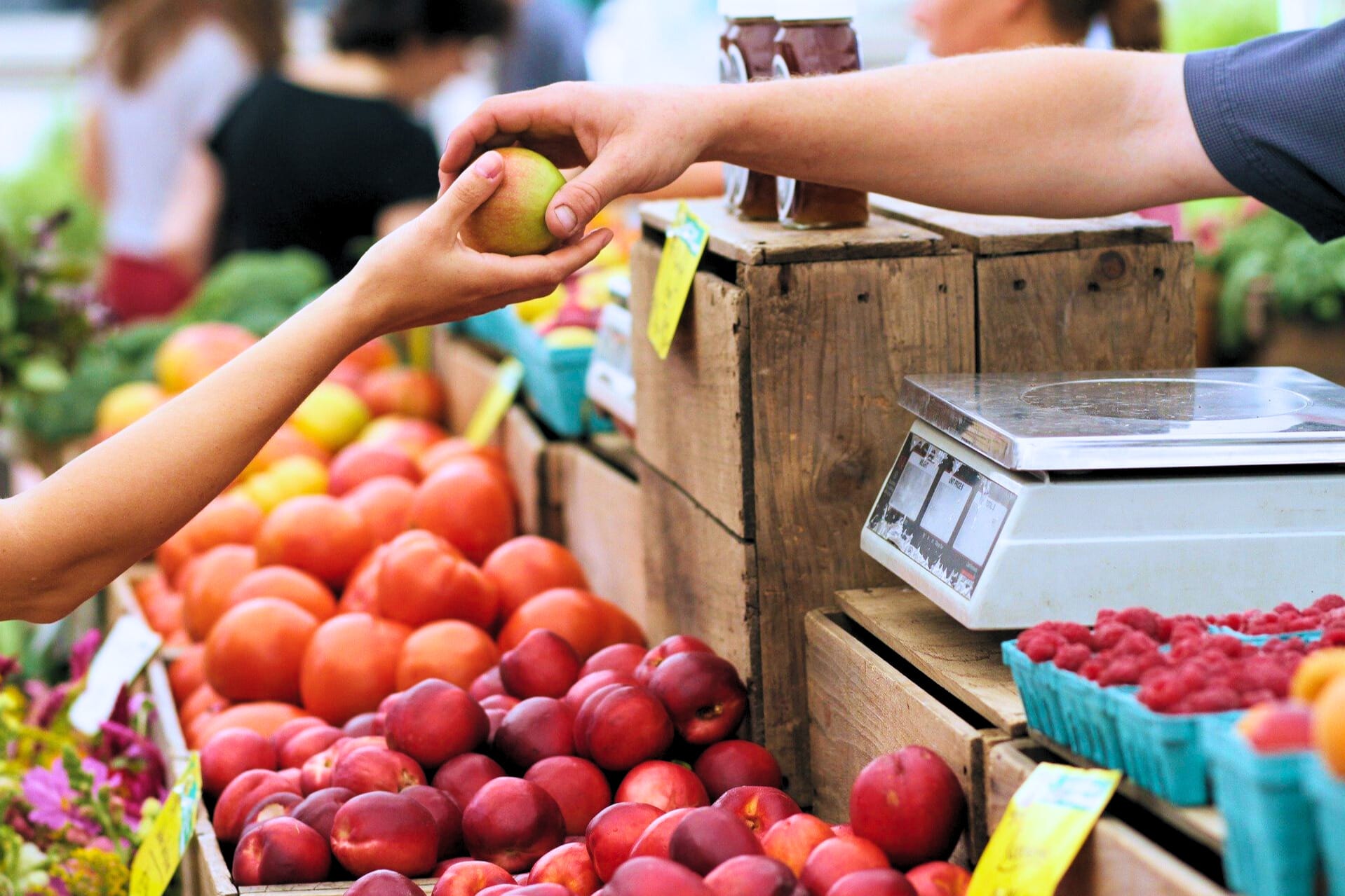 Les marchés du Pays basque